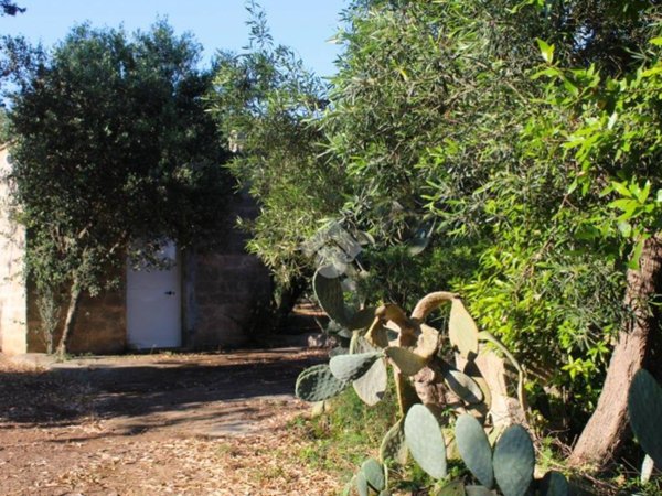 casa indipendente in vendita a Carovigno