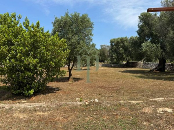 casa indipendente in vendita a Carovigno in zona Serranova