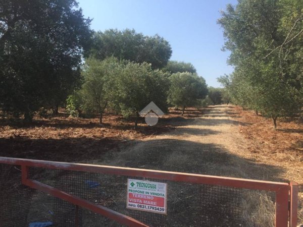 terreno agricolo in vendita a Carovigno