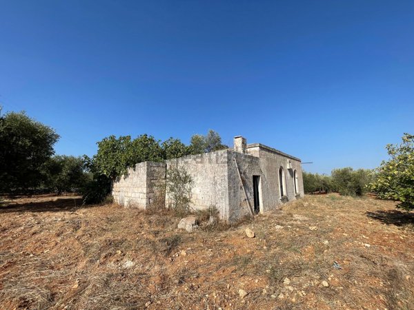 esavano in vendita a Carovigno