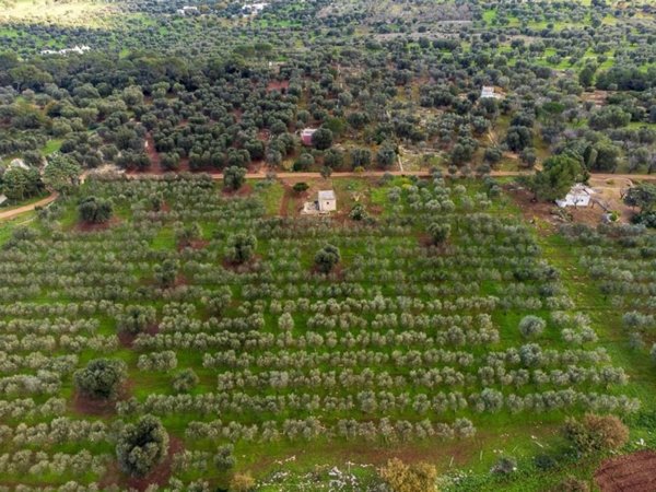 casa indipendente in vendita a Carovigno