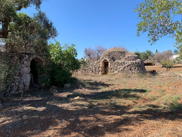 appartamento in vendita a Carovigno