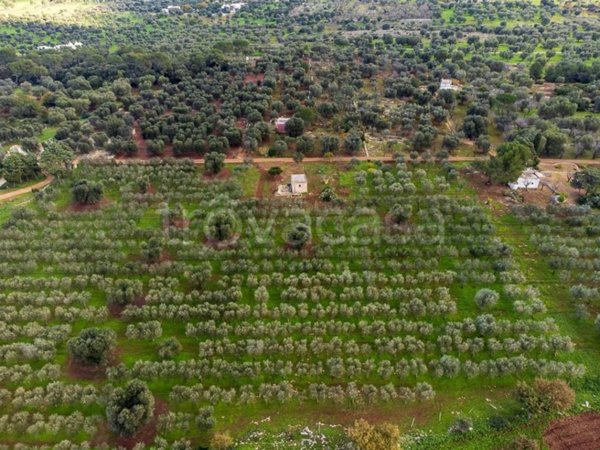 casa indipendente in vendita a Carovigno