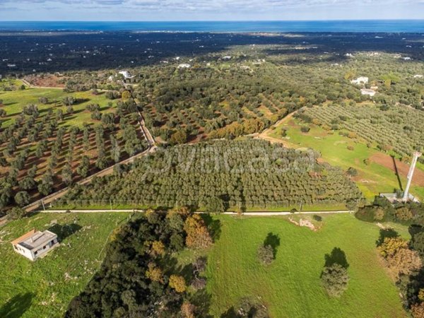 casa indipendente in vendita a Carovigno