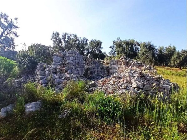 rudere in vendita a Carovigno