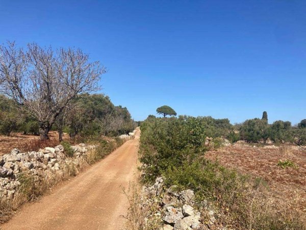casa indipendente in vendita a Carovigno