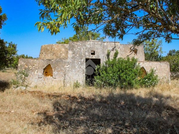 terreno agricolo in vendita a Carovigno