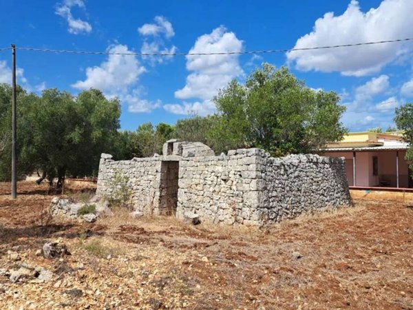 terreno agricolo in vendita a Carovigno