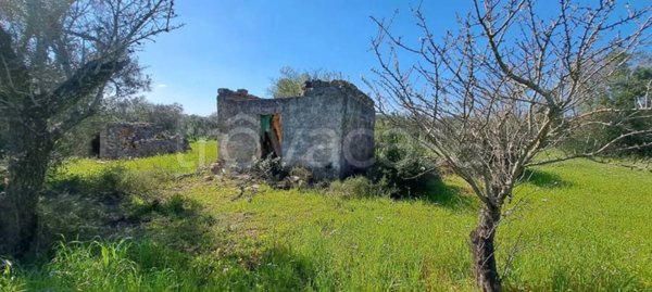 casa indipendente in vendita a Carovigno