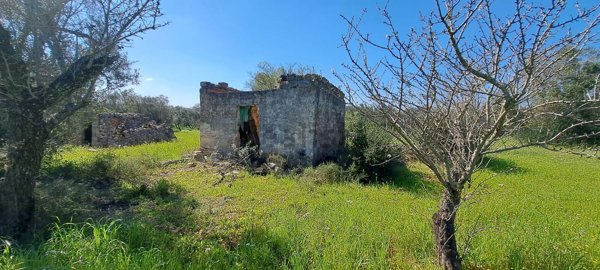 appartamento in vendita a Carovigno