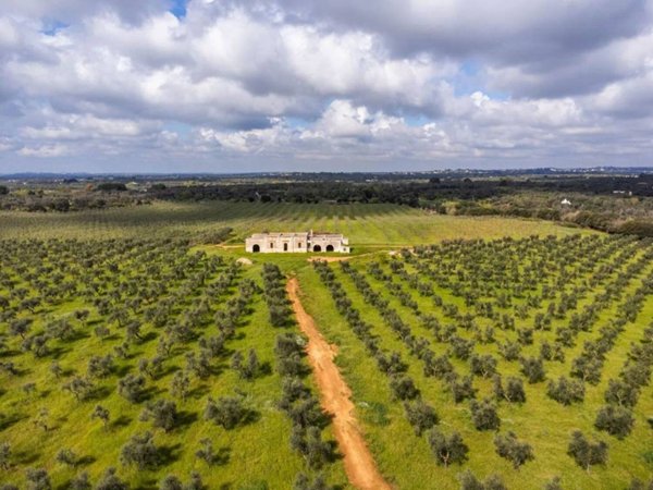 casa indipendente in vendita a Carovigno