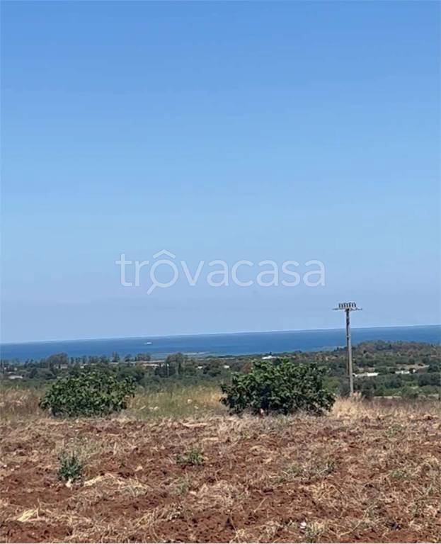 terreno agricolo in vendita a Carovigno in zona Serranova