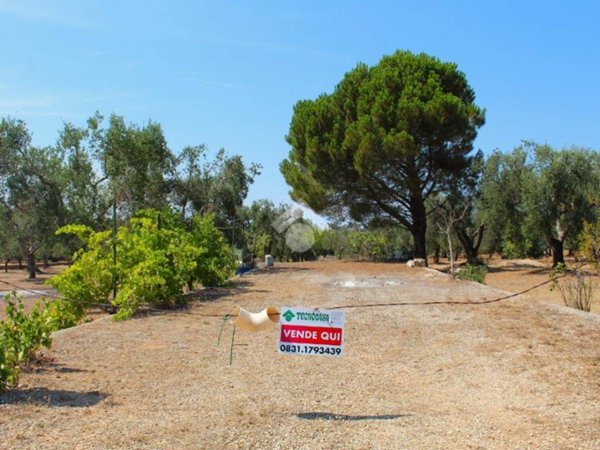 terreno agricolo in vendita a Carovigno