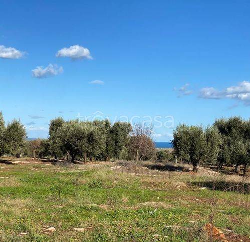 terreno agricolo in vendita a Carovigno in zona Torre Santa Sabina