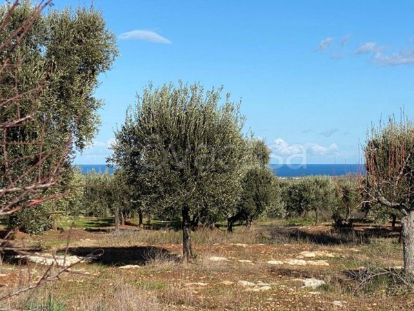 terreno agricolo in vendita a Carovigno in zona Torre Santa Sabina