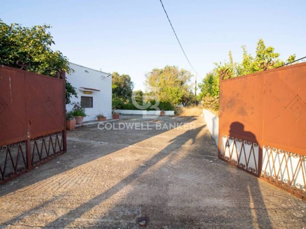 casa indipendente in vendita a Carovigno
