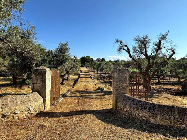 appartamento in vendita a Carovigno