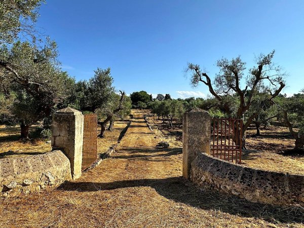appartamento in vendita a Carovigno