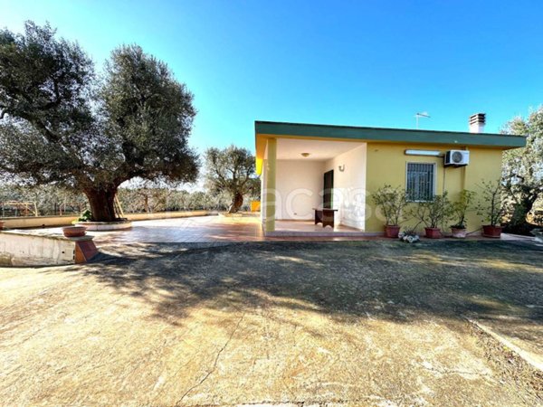 casa indipendente in vendita a Carovigno