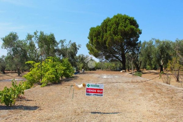 terreno agricolo in vendita a Carovigno