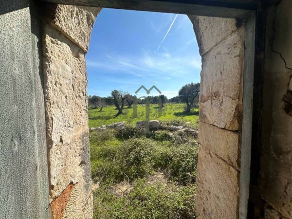 terreno agricolo in vendita a Carovigno