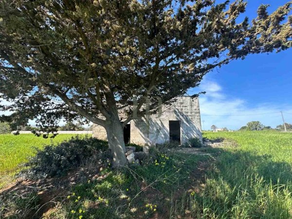 casa indipendente in vendita a Carovigno