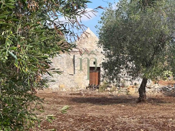 casa indipendente in vendita a Carovigno in zona Serranova