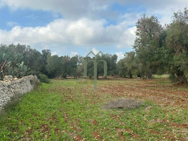terreno agricolo in vendita a Carovigno in zona Serranova