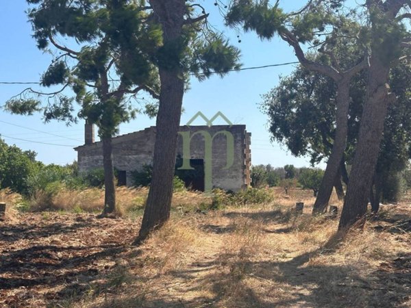 casa indipendente in vendita a Carovigno