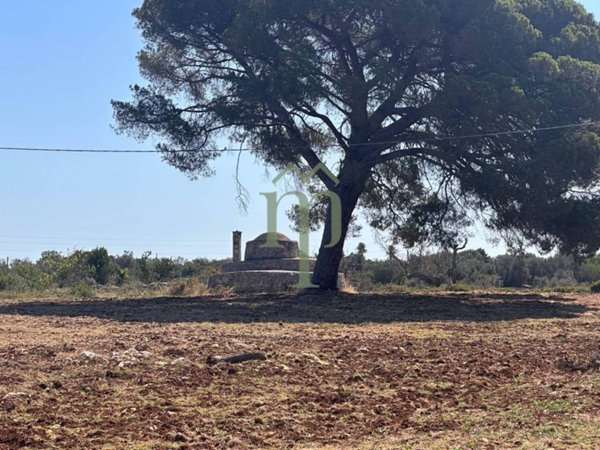 casa indipendente in vendita a Carovigno