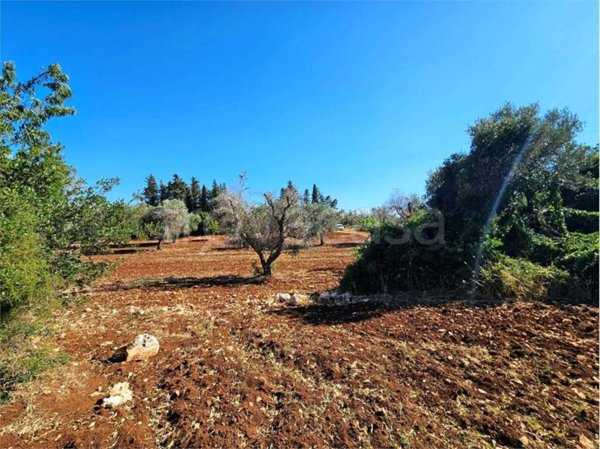 casa indipendente in vendita a Carovigno