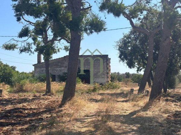 casa indipendente in vendita a Carovigno
