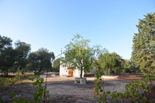 appartamento in vendita a Carovigno