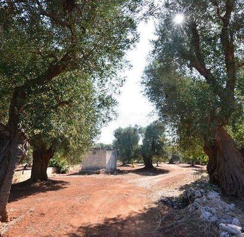 casa indipendente in vendita a Carovigno