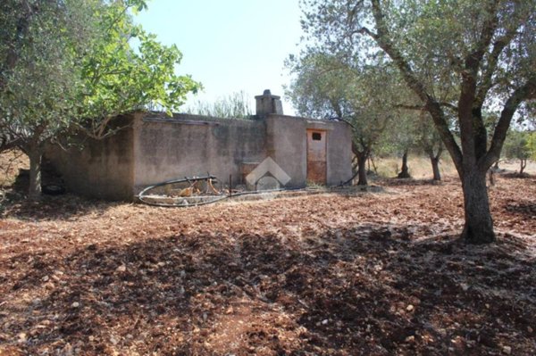 terreno agricolo in vendita a Carovigno