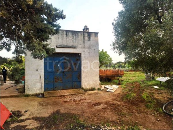 casa indipendente in vendita a Carovigno