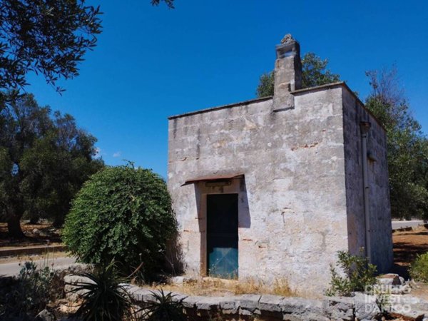casa indipendente in vendita a Carovigno