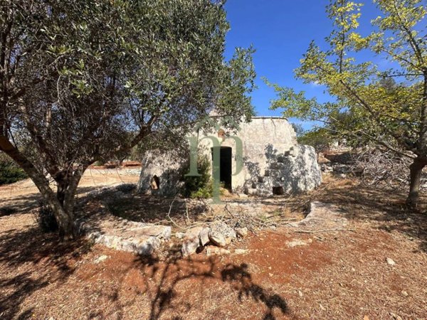 casa indipendente in vendita a Carovigno