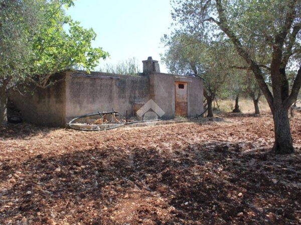 terreno agricolo in vendita a Carovigno