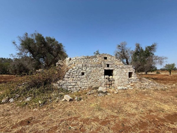 casa indipendente in vendita a Carovigno
