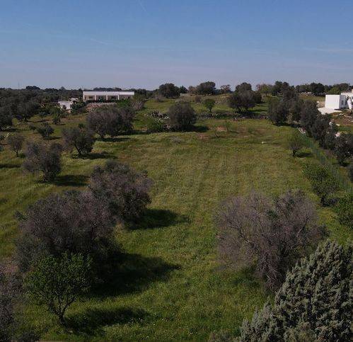 terreno agricolo in vendita a Carovigno