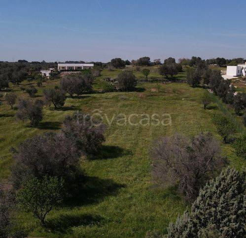 terreno agricolo in vendita a Carovigno