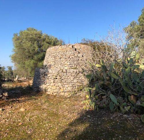 terreno agricolo in vendita a Carovigno