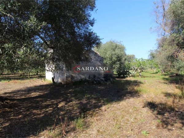 rudere in vendita a Carovigno in zona Serranova