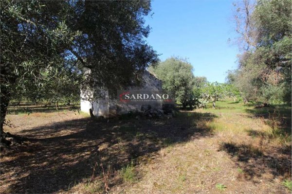 rudere in vendita a Carovigno in zona Serranova