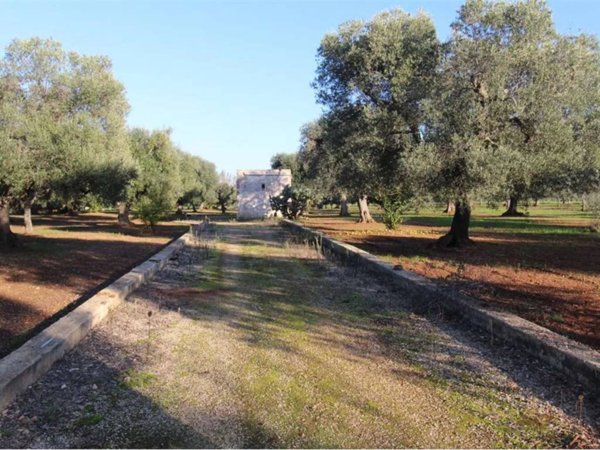 casa indipendente in vendita a Carovigno