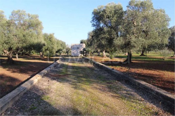 appartamento in vendita a Carovigno