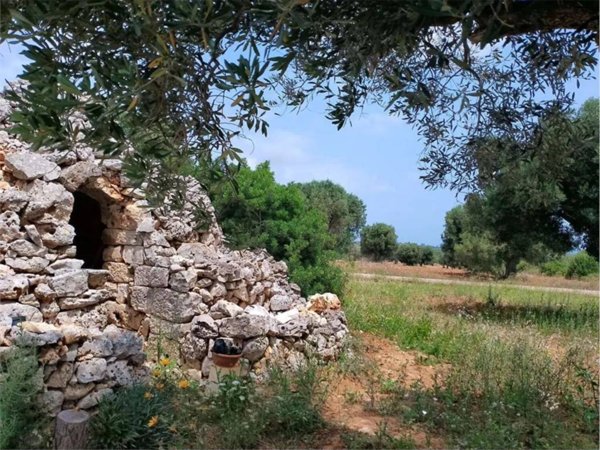 casa indipendente in vendita a Carovigno in zona Serranova