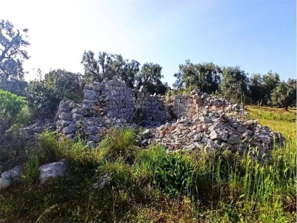 terreno agricolo in vendita a Carovigno
