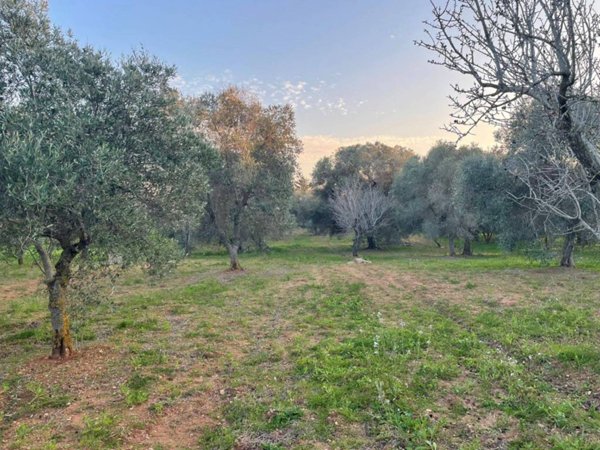 casa indipendente in vendita a Carovigno